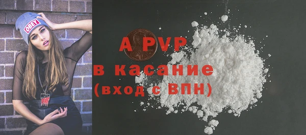 ECSTASY Кукмор