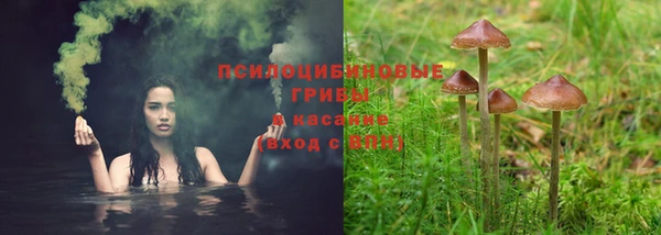бошки Волосово