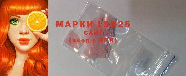 ECSTASY Кукмор