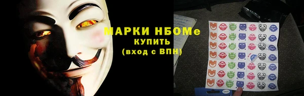 ECSTASY Кукмор