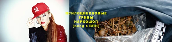 амф Кулебаки