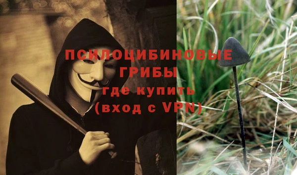 амф Кулебаки