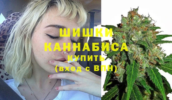 амф Кулебаки