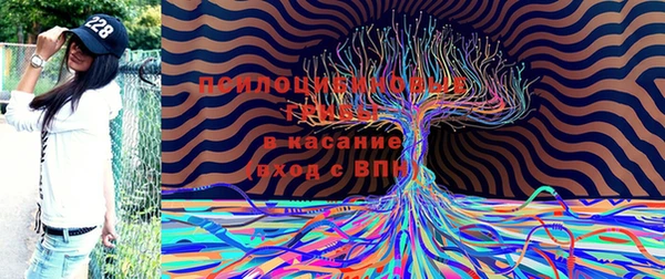 ECSTASY Кукмор