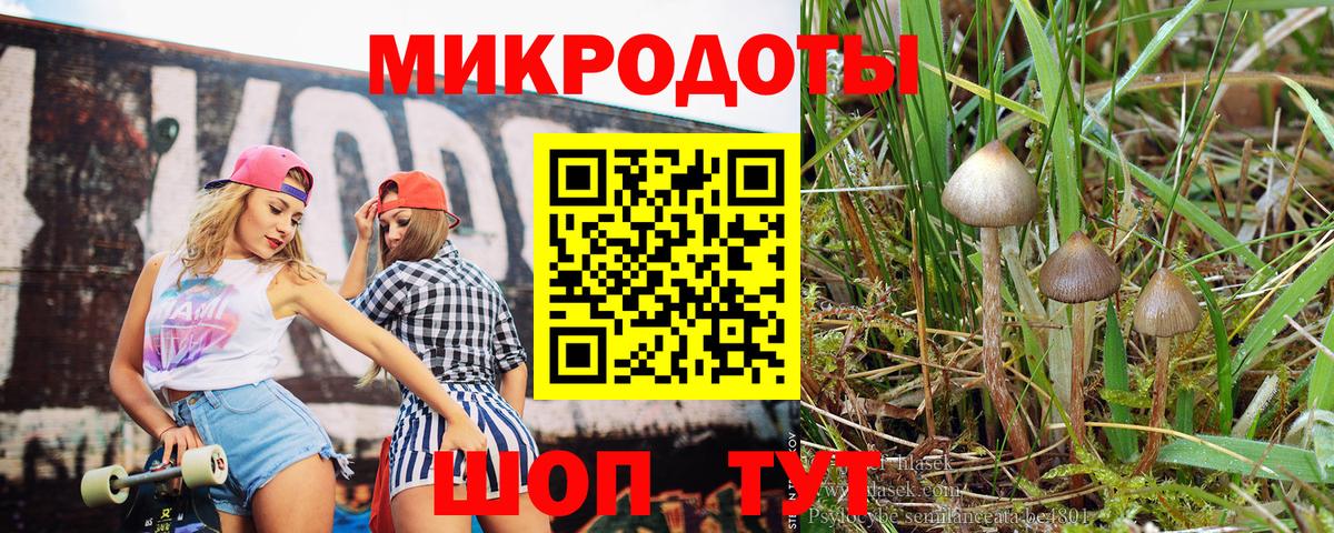 купить  сайты  Нижний Новгород  Галлюциногенные грибы GOLDEN TEACHER 