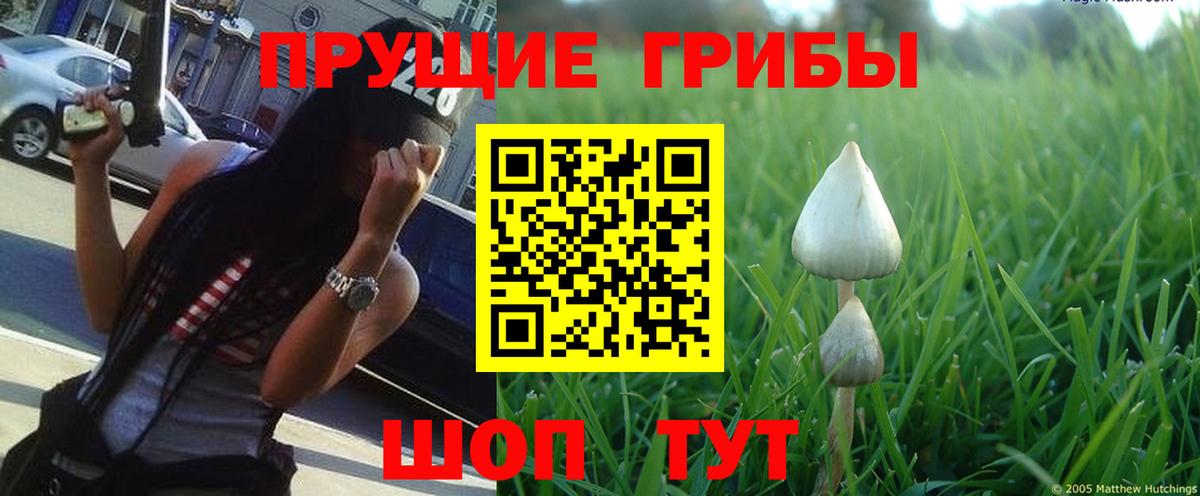 Псилоцибиновые грибы прущие грибы  Вход с VPN  наркота  Нижний Новгород 
