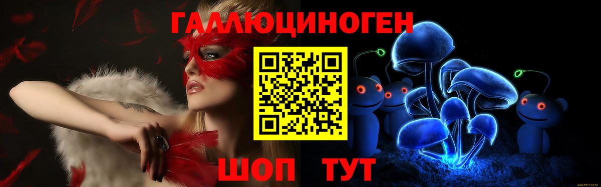 Галлюциногенные грибы Psilocybe Нижний Новгород